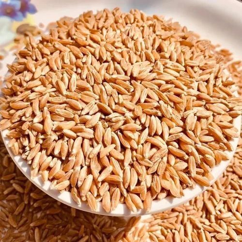 Organic Wheat Grain for Making Bread, Cooking, Bakery Products