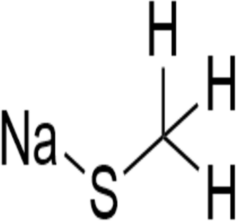 Sodium Methyl Mercaptide Solution CAS 5188-07-8