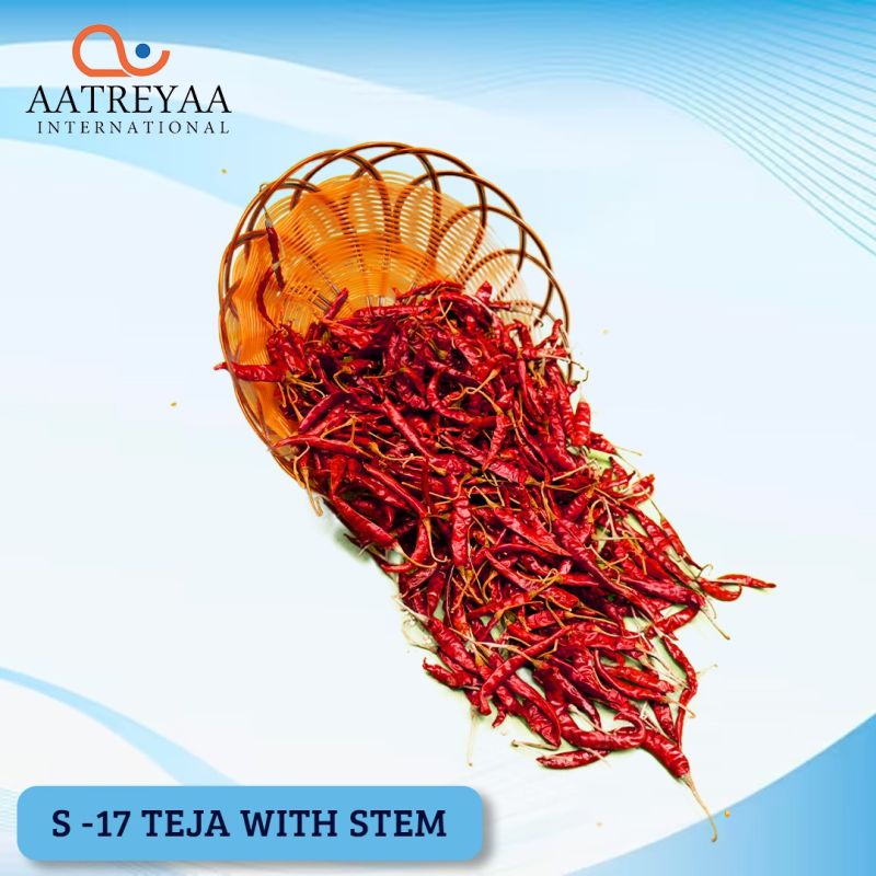 S-17 Teja with Stem Dry Red Chilli