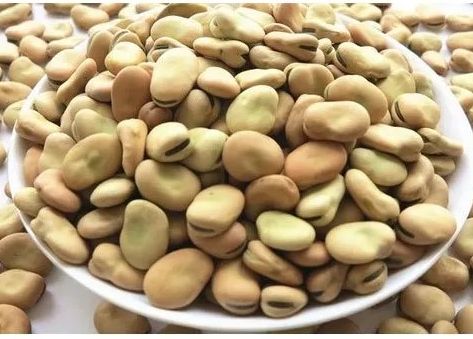 Dried Organic Faba Bean, for Making Protein Powder, Cooking