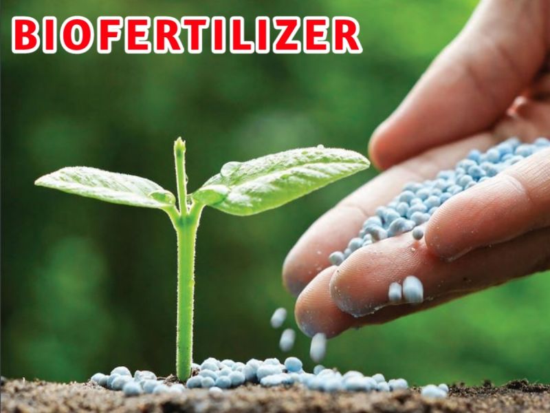 Microbial Biofertilizer, for Water Treatment