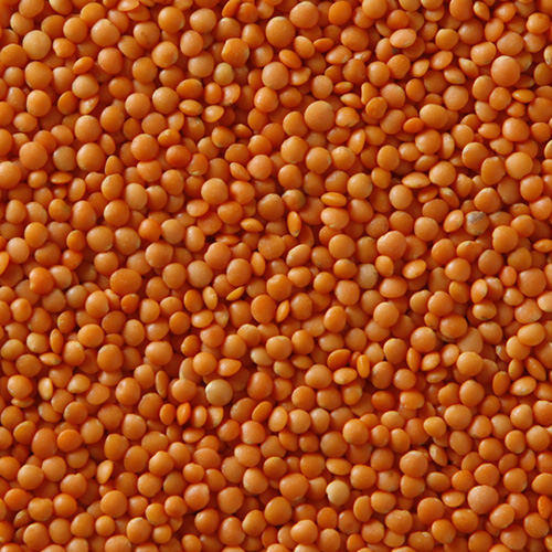 Natural Red Football Masoor Dal, for Cooking, Feature : Purity, Nutritious, Healthy To Eat