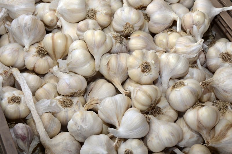 Garlic, Form : Whole Cloves