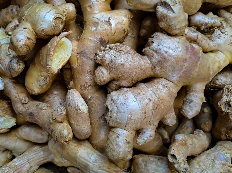 Organic Ginger, Color : Pale Yellow