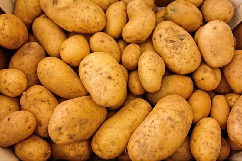 Organic Potato, Packaging Size : 25 Kg