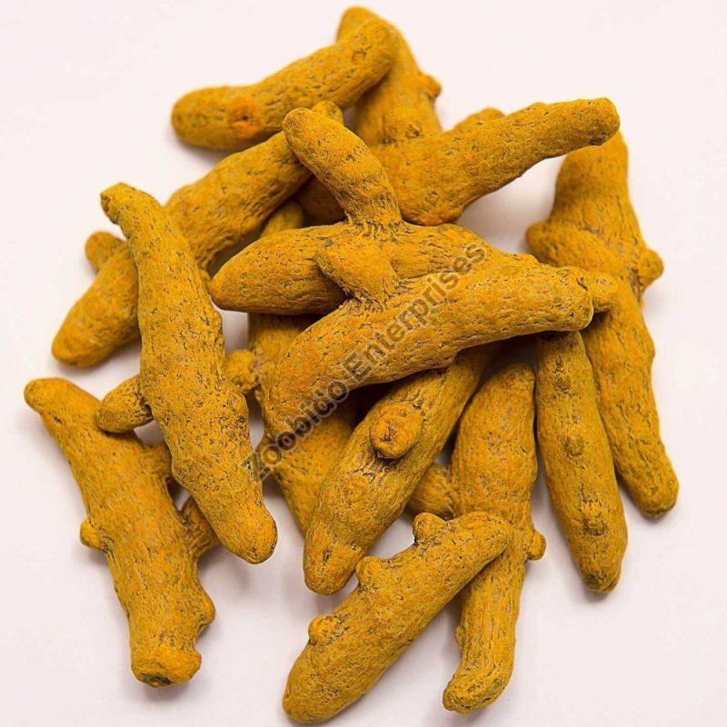 Phulbani Turmeric Finger For Cooking, Spices