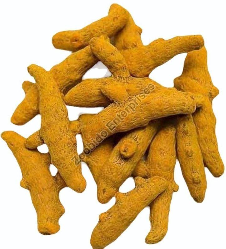 Yellow Whole Rajapuri Turmeric Finger, for Cooking, Packaging Type : Paper Box