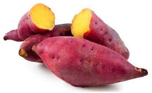 Natural Fresh Sweet Potato for Human Consumption