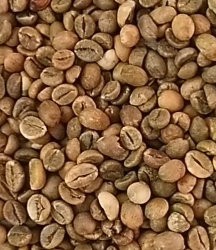 Natural Cherry Robusta Coffee, Certification : FSSAI