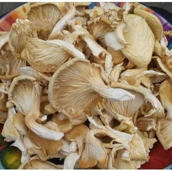 Dried oyster mushroom, Color : Light Brown