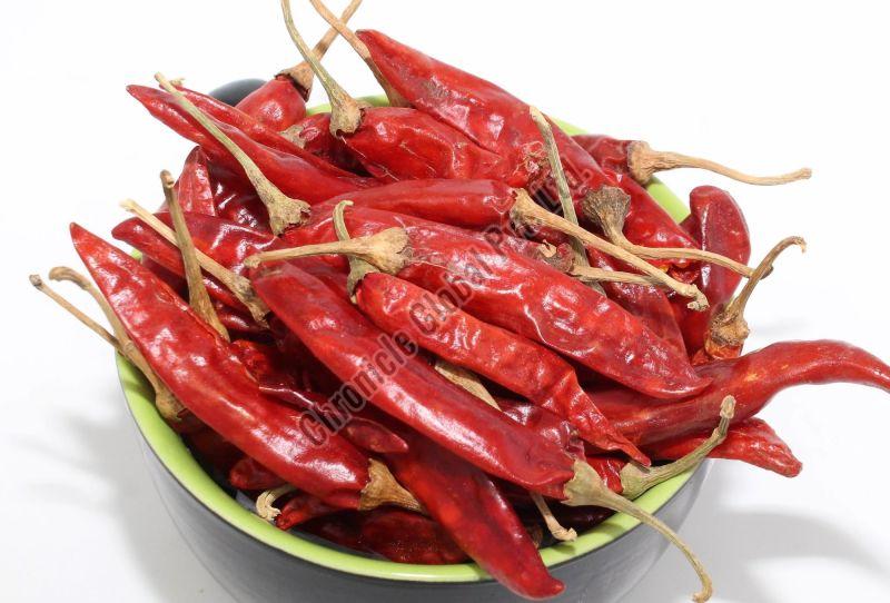 Raw Natural Dhani Dry Red Chilli, for Cooking, Grade Standard : Food Grade