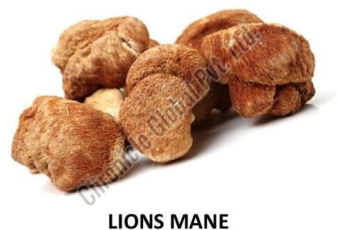 Whole Organic Dried Lions Mane Mushroom, Packaging Type : Plastic Bag