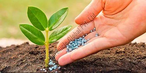 Granules Organic Soil Conditioner