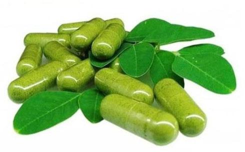 Organic Moringa Capsules for Supplement Diet