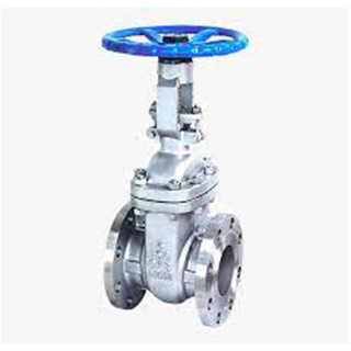 Polished Stainless Steel Conduit Gate Valve for Industrial Use