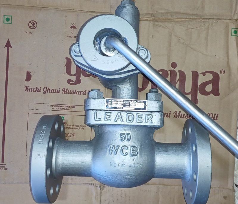 Polished Stainless Steel Leader WCB Gate Valve for Industrial Use