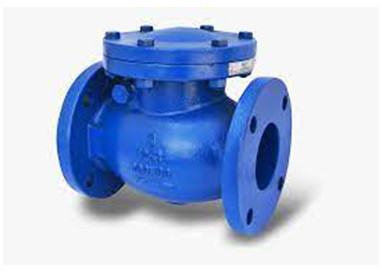 Automatic Stainless Steel Swing Check Valve for Industrial Use