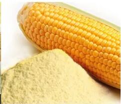 Spray Dried Corn Fat Powder for Food Industry