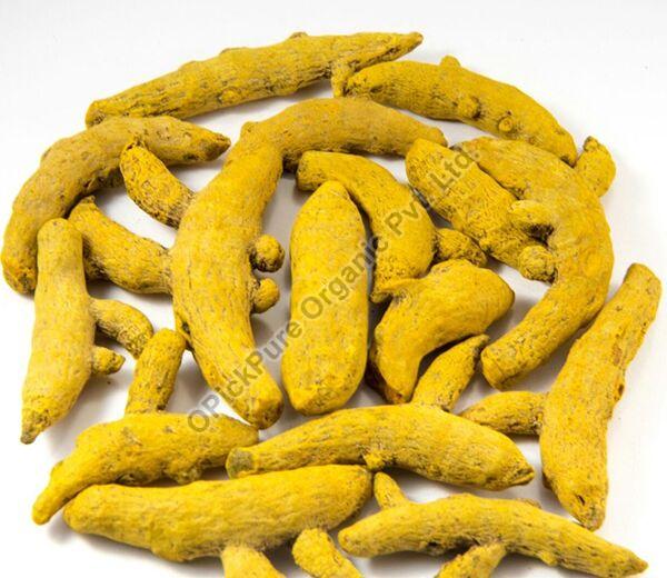 Nizamabad Turmeric Finger for Cooking