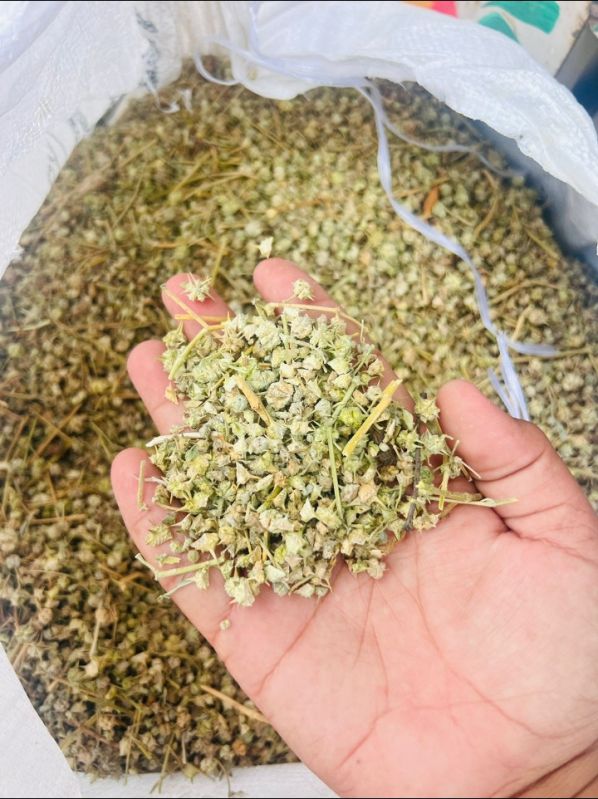 Gokhru seeds, Taste : Natural