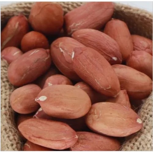 Large Indian Groundnut Peanut kernels, Taste : Light Sweet