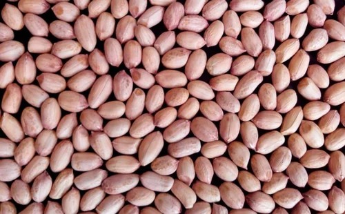 Peanut Seeds, Grade : Food Grade