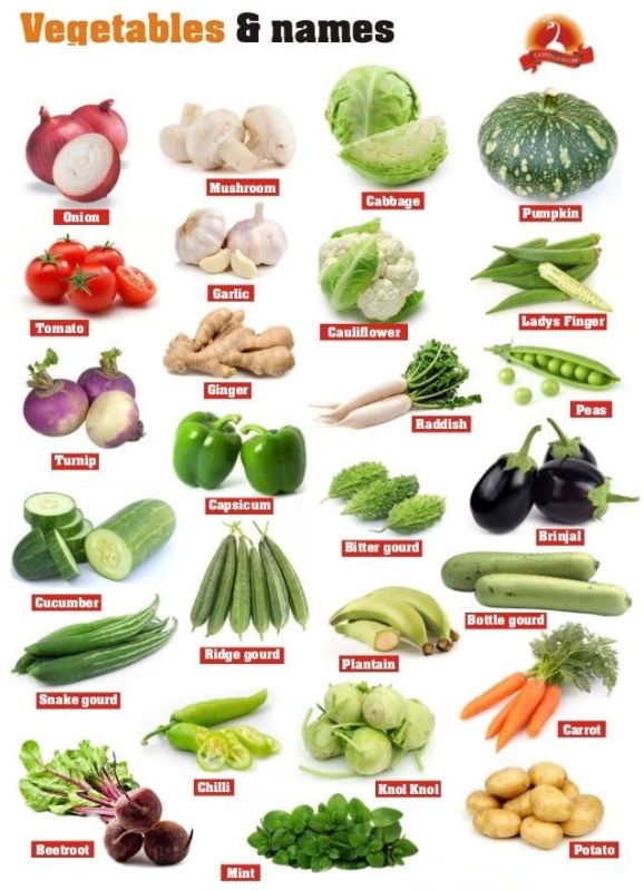 Organic Indian Fresh Vegetables For Human Consumption