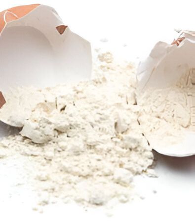 egg shell powder
