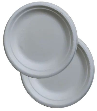 10 Inch Round Sugarcane Bagasse Plate for Hotels Pubs