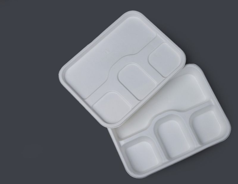 4 Compartment Bagasse Meal Tray With Lid