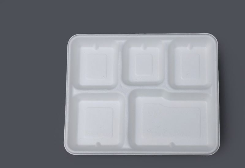 5 Compartment Sugarcane Bagasse Plate