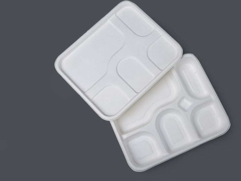 Bagasse 6 Compartment Meal Tray with Lid
