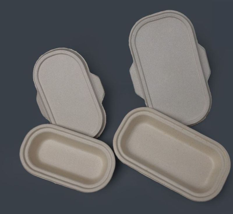 Compostable Sugarcane Bagasse Container with lid for Food Packaging