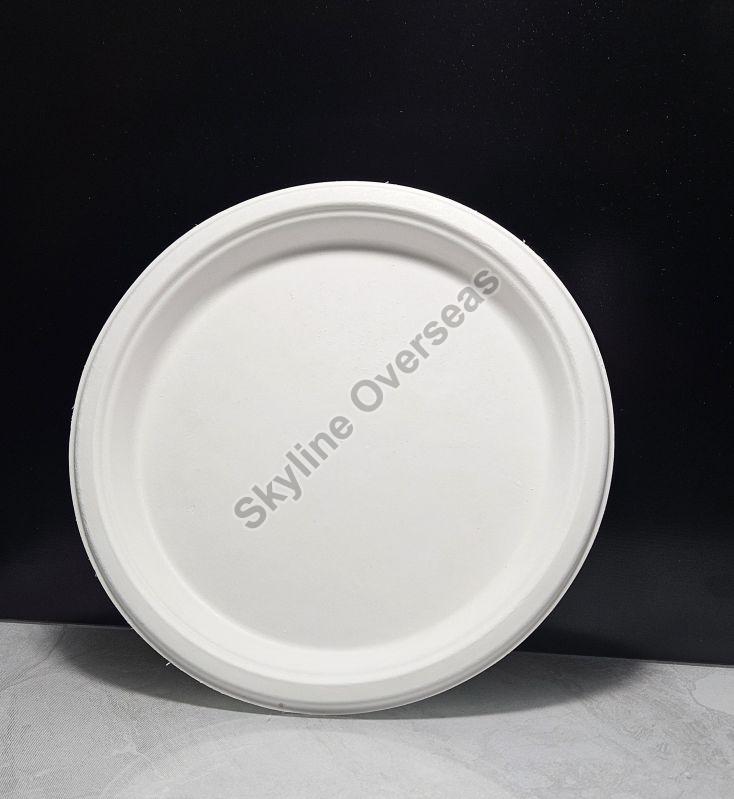 10 Inch Round Sugarcane Bagasse Plate