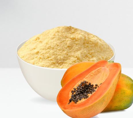 Common Brown Unripe Papaya Powder for Food