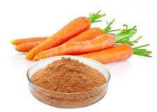 Spray Dried Carrot Powder, Packaging Size : 1kg