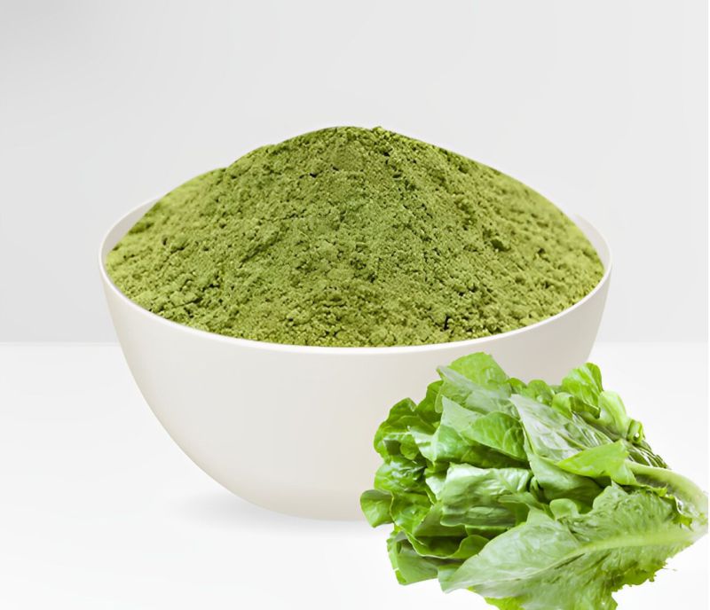 Spray Dried Lettuce Powder for Food Industry