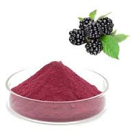 Spray Dried Mulberry Powder for Personal