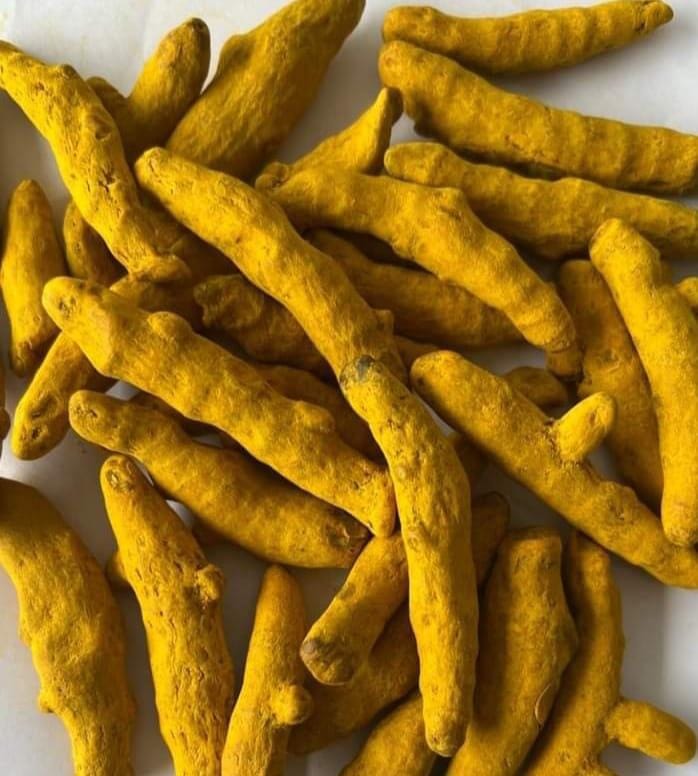 Turmeric Finger for Cooking