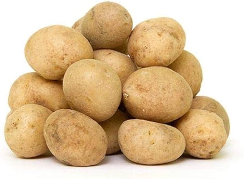 Fresh Chipsona Potato for Human Consumption