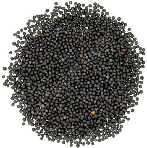 Natural Black Mustard Seeds For Food Medicine