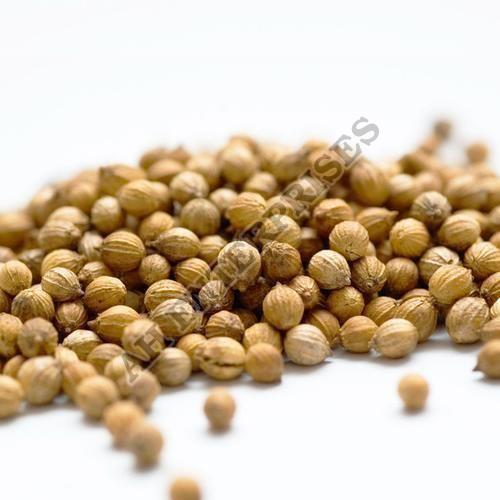 Raw Natural Coriander Seed, Packaging Type : Plastic Packet