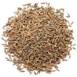 Raw Natural Cumin Seeds, Grade Standard : Food Grade