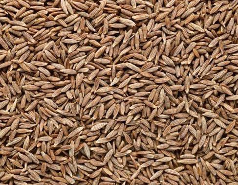 Natural Cumin Seeds, Grade Standard : Food Grade
