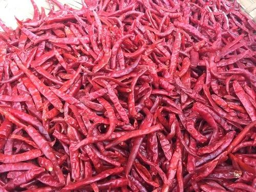 Natural Dired Guntur Red Chilli for Cooking