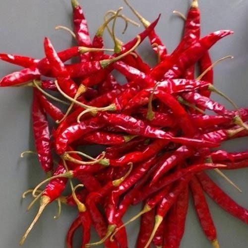 Dried Teja Red Chilli for Cooking
