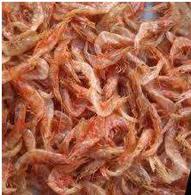 Dried Big Prawns for Home, Hotel, Mess