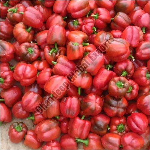 A Grade Red Capsicum for Cooking