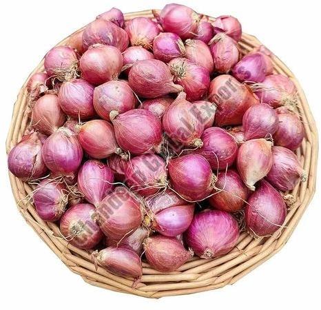 A Grade Red Shallot Onion for Cooking Use