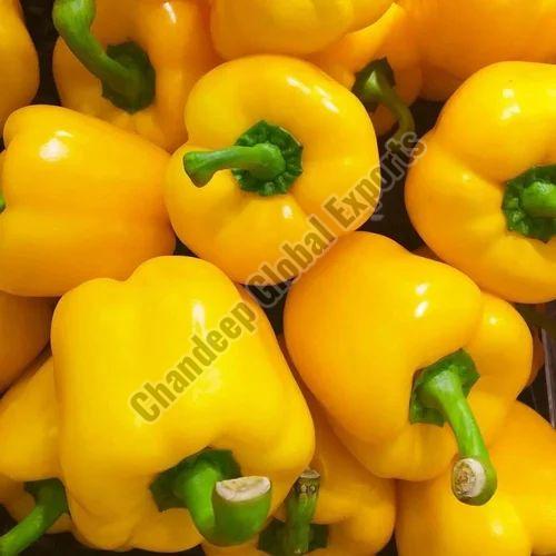 A Grade Yellow Capsicum for Cooking